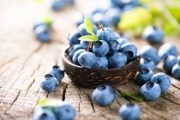 Ученые рассказали о пользе черники для тучных людей