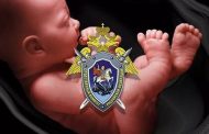 Следственный комитет на защите прав плода