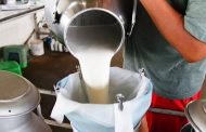 Непастеризованные продукты в 840 раз вреднее пастеризованных
